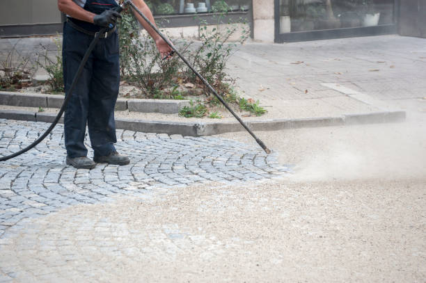 Best Gutter Cleaning and Brightening in Wrightstown, WI